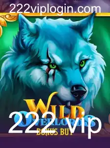 Explorando o Universo de WildOverlordsBonusBuy